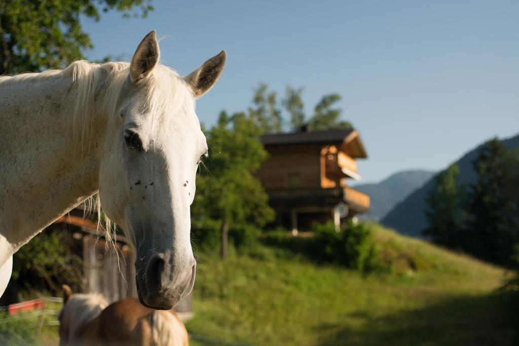 Ferienhaus Oetztal Otel Sautens Dış mekan fotoğraf