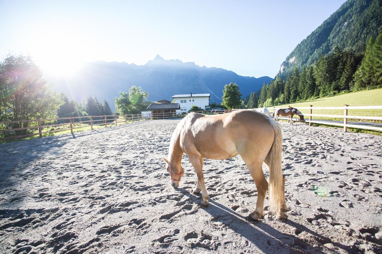 Ferienhaus Oetztal Otel Sautens Dış mekan fotoğraf